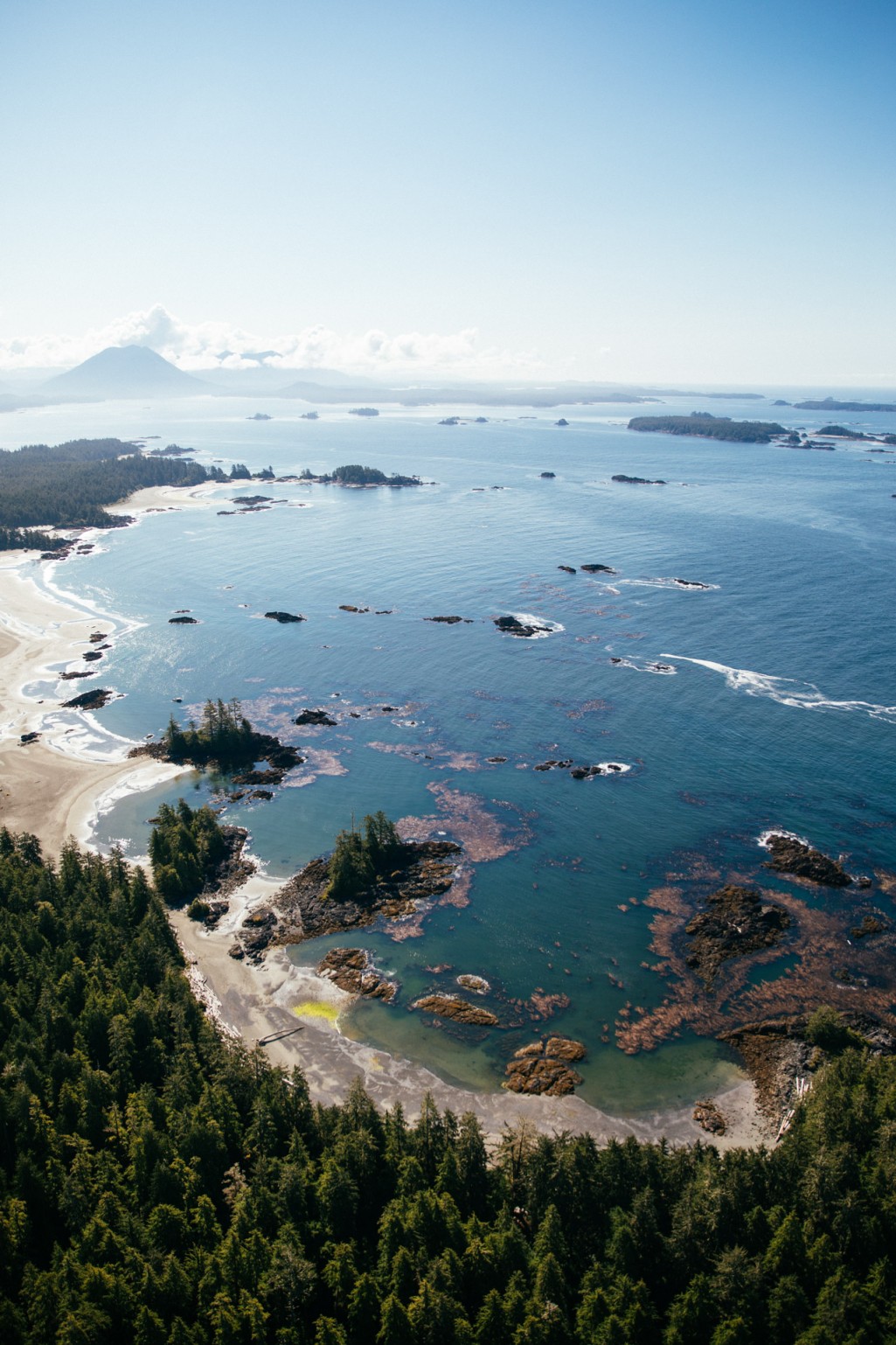 An Ode to The Tofino Beach Picnic - Tofino Resort + Marina