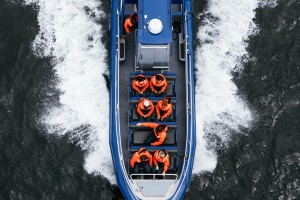 Tofino Whale Watching