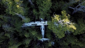 canso bomber air plane crash site tofino