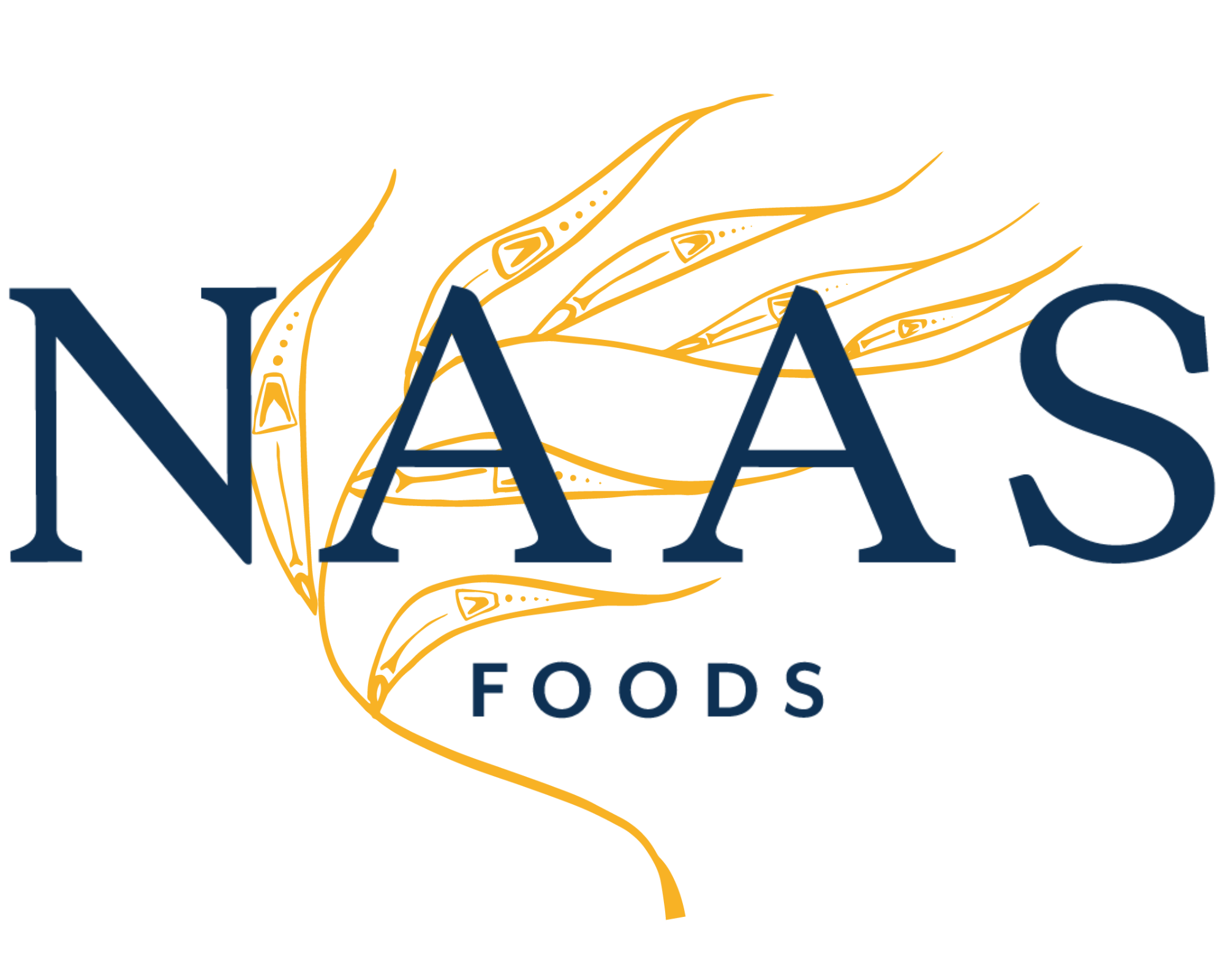 naas foods logo