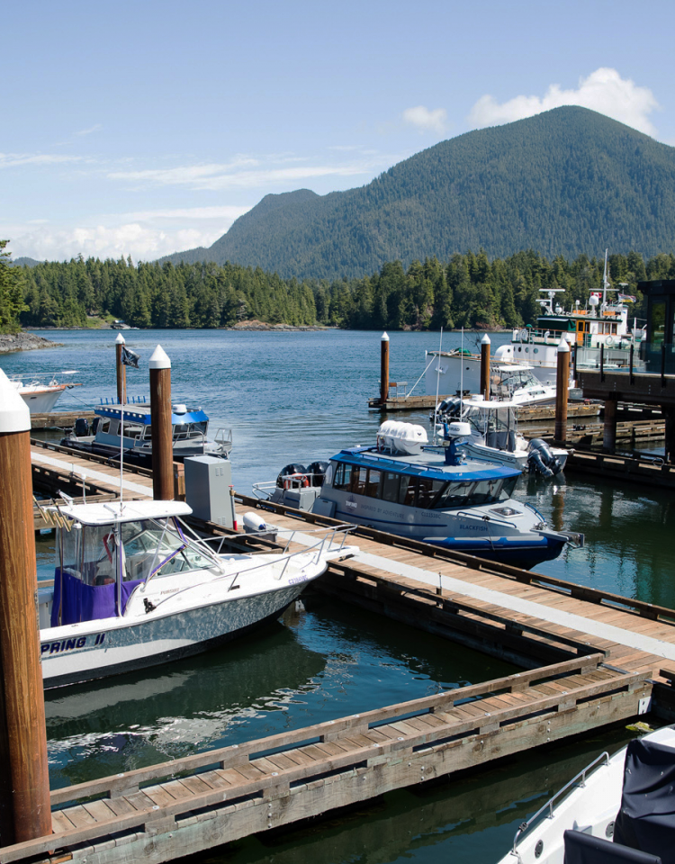 Full-Service Tofino Marina and Moorage | Tofino Resort + Marina