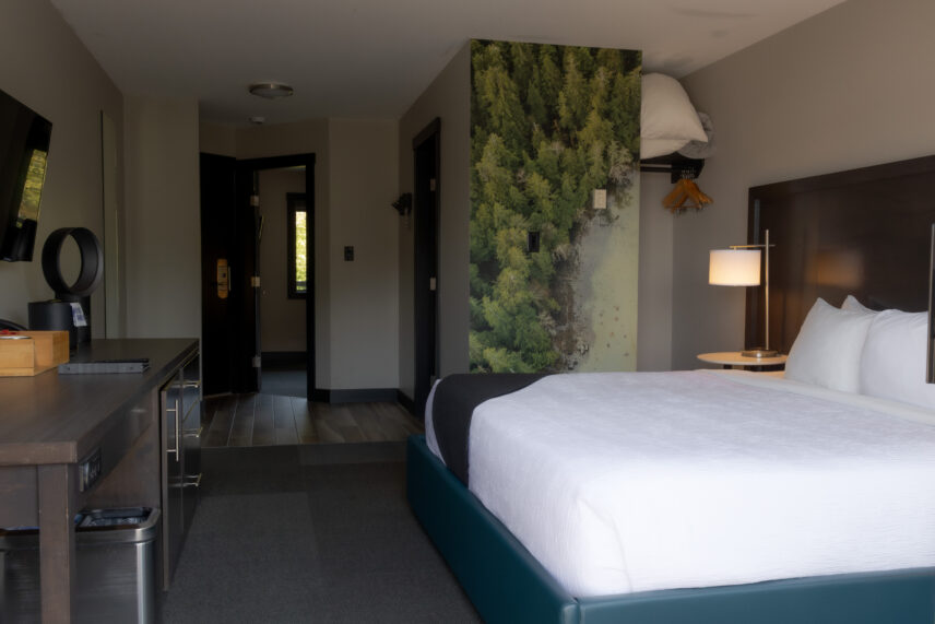 West coast-inspired suite with forest artwork and minimalist design