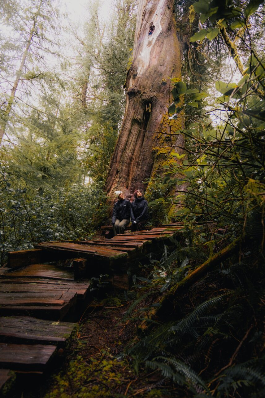 3 people sitting on mystical boardwalk in the forest