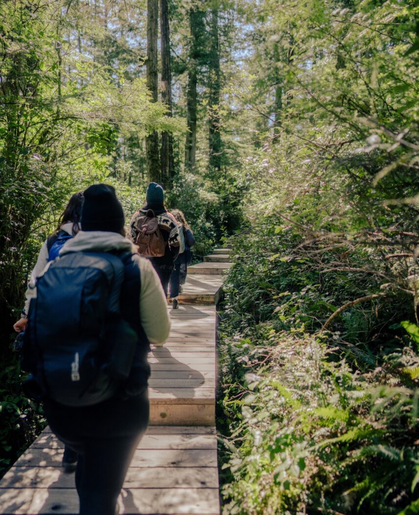 People walking on a board walk through the forest to Hot Springs Cove