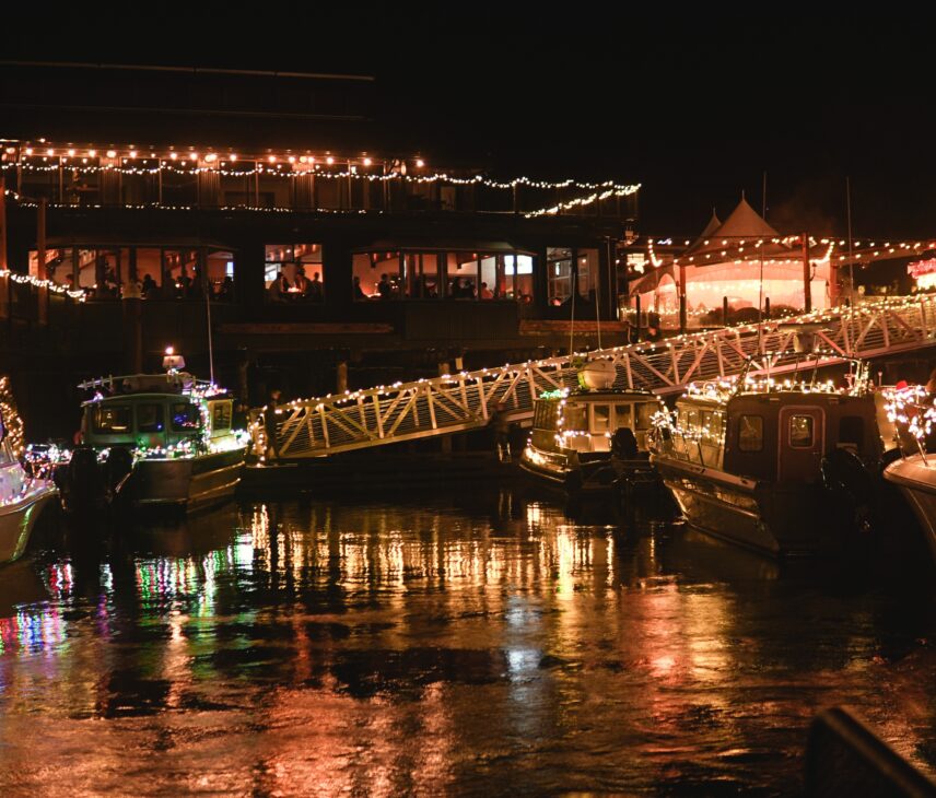 Marina with Christmas lights everywhere including the boats
