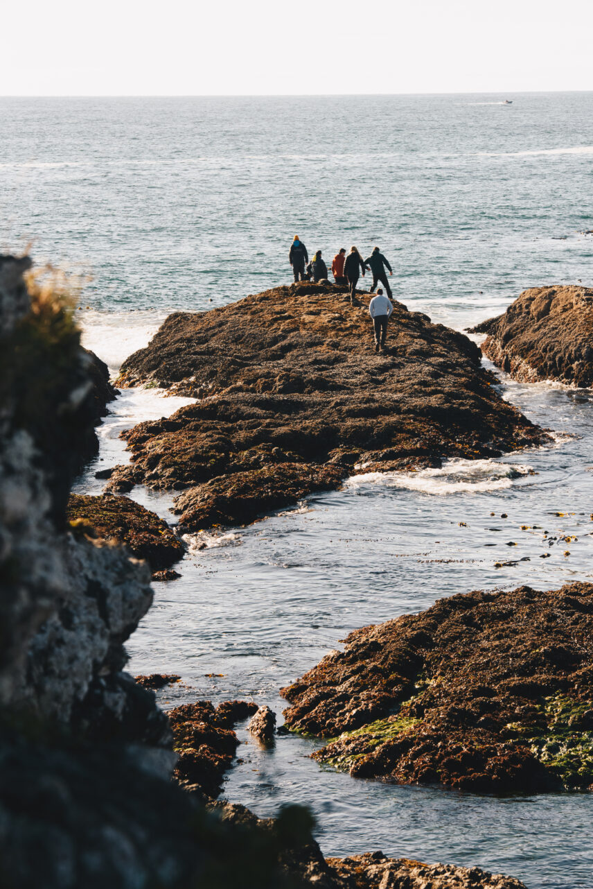 Group of people foraging on rocks in the ocean