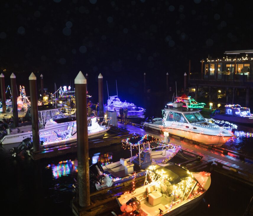 Boats decorated with Christmas lights