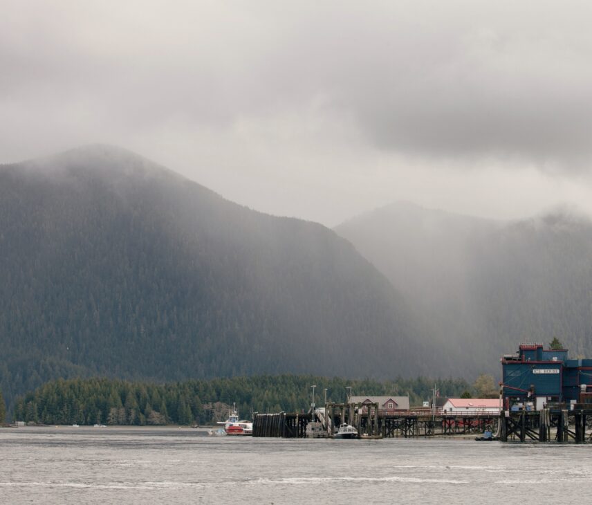 view of the tofino inlet