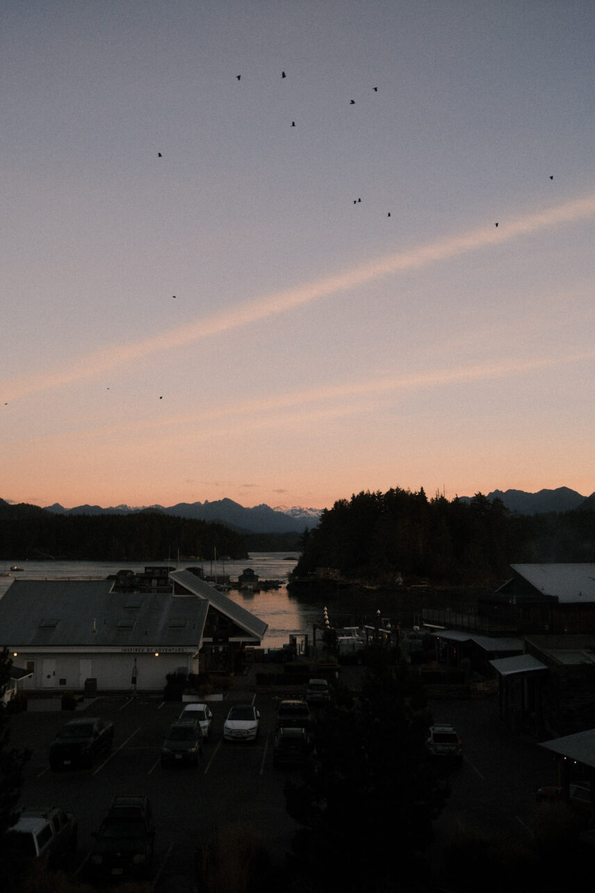 sunset over the inlet taken from a tofino resort + marina balcony